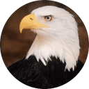Buzzard Security eagle logo